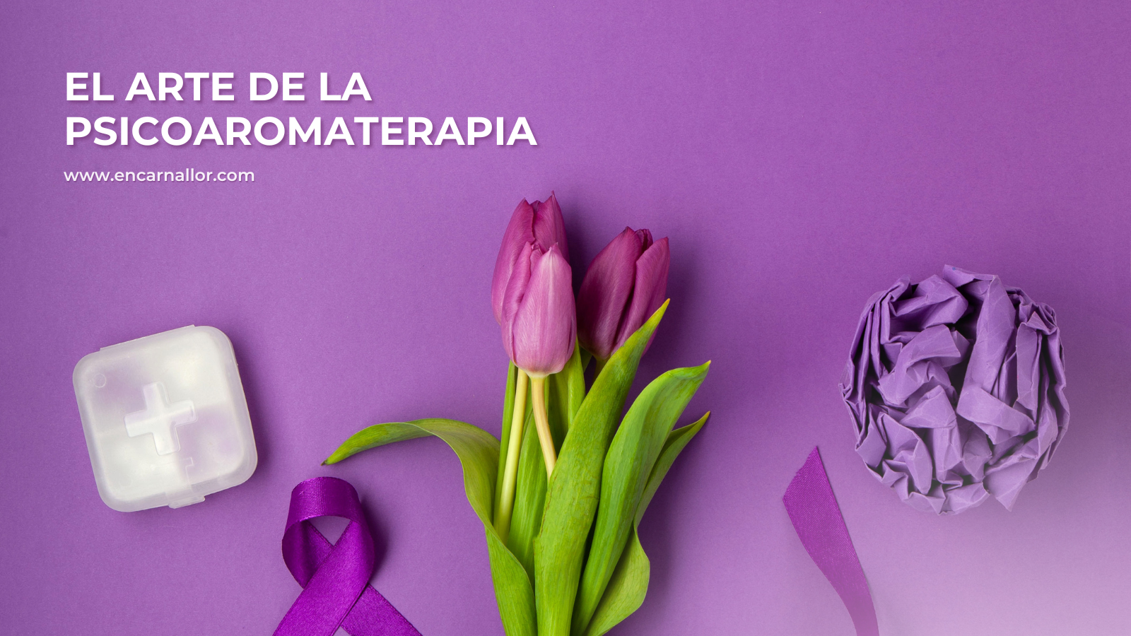 encarna llor psicoaromaterapia regulacion emocional salud mental