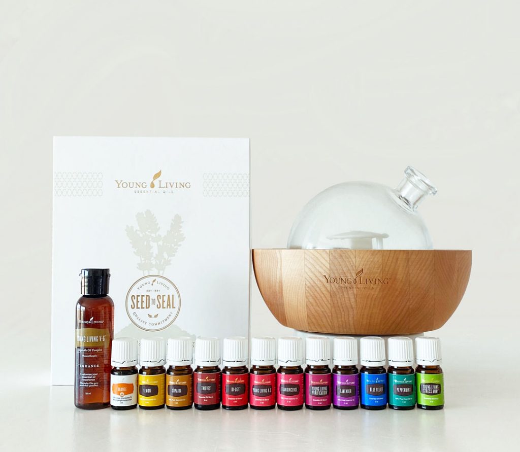 kit de inicio aria encarna llor